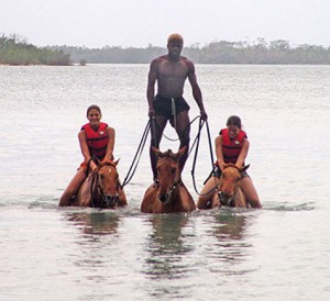 Horseback Riding In Jamaica