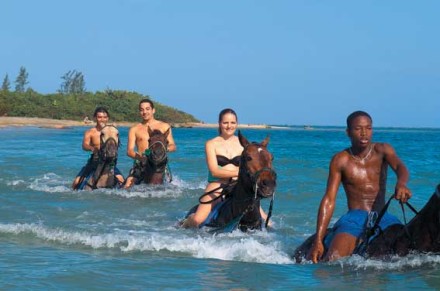 horseback riding Jamaica
