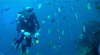 scuba diving in Jamaica