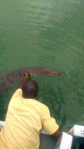 Black River Safari Jamaica